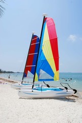 Sail Catamarans 