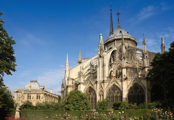 Fototapeta na wymiar paris Notre Dame