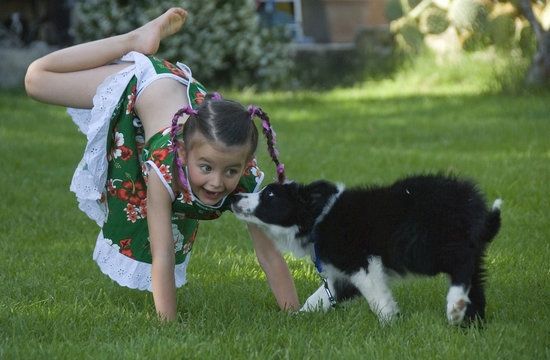 fillette et chiot