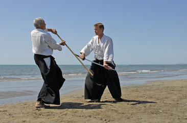 aikido