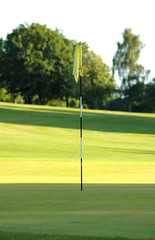 Obraz premium Pin and putting green in shadow
