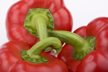 red pepper on white background