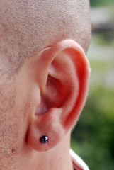oreille