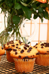 Chocolate Chip Muffins