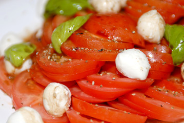 Tomate Mozzarella