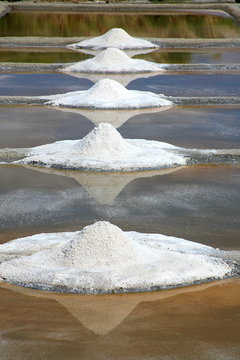 marais salant de Guerande 4
