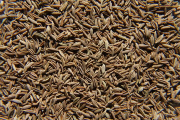 Cumin