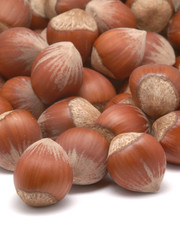 hazelnuts