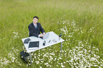 Büro auf der Wiese, Manger am Laptop
