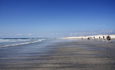 Promenade à cheval sur la plage