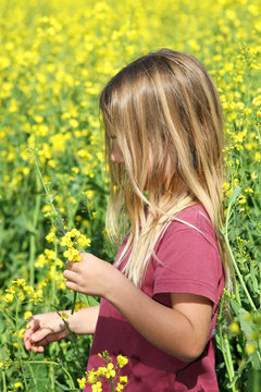 Enfant dans un champs de colza