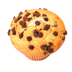Chocolate Chip Muffin