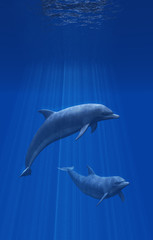 Fototapeta premium Dolphins Undersea - 3d render