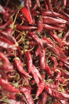 peperoncini rossi piccanti essiccati