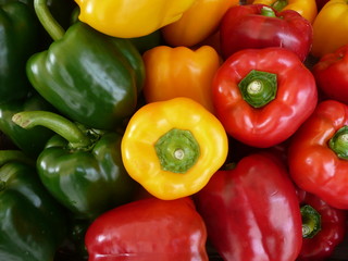 bunte Paprika