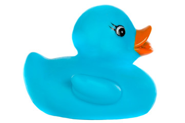 Blue plastic duck