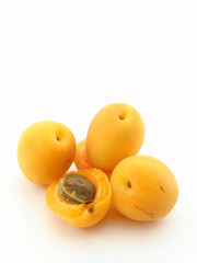 Apricot
