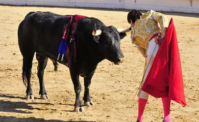 Photo sur Aluminium Tauromachie Matador Staring at Bull