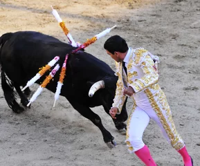 Acrylic prints Bullfighting Matador Running From Bull