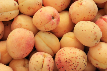 Apricots