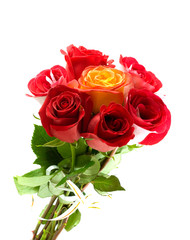 Beautiful red roses