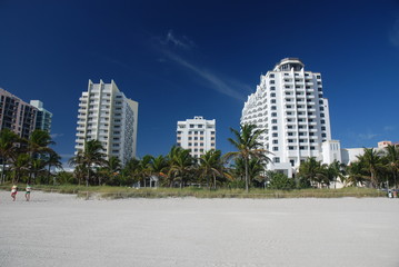 Obraz premium Miami beach skyline