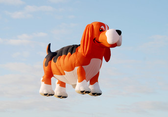 Naklejka premium Dog shaped balloon