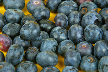 Heidelbeeren