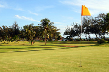 Obraz premium Perfect Green