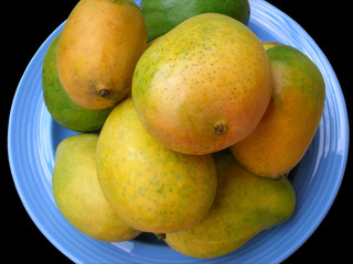 Mango - the King of Fruits