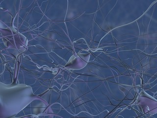 menschliche nervenzelle