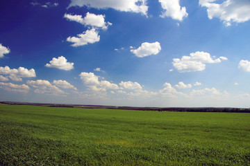  	Background. Field