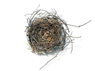 bird nest 08' 2