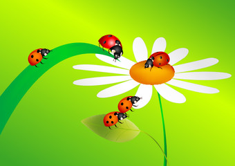 Platz unter der Sonne