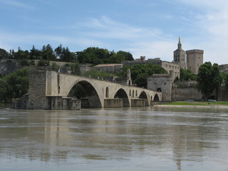 Fototapeta na wymiar Avignon Bridge