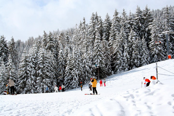 Skiers on mountain slopes