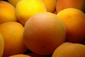 apricots