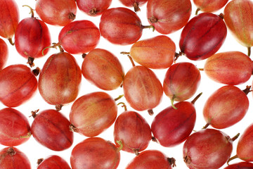 Red gooseberry