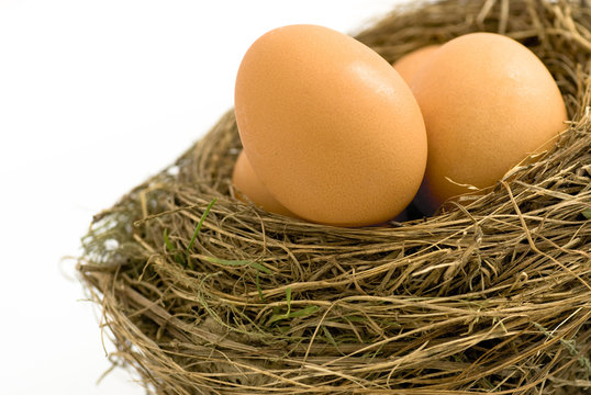 protection dans un nid douillet