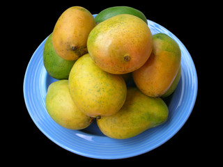 Mangoes of India