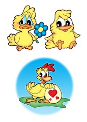 Cute chickens