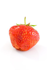 Single tasty ripe red strawberry