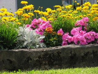 fleurs