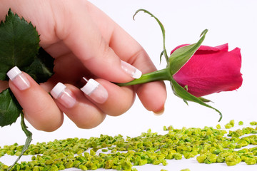 Fingernagel