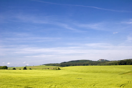 Holzlandfelder