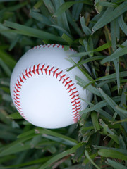 Baseball close up
