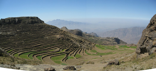 Culture en terrasse au Y&eacute;men