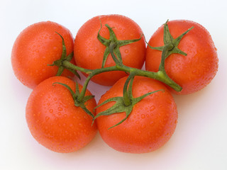 Five tomatoes with a white outline