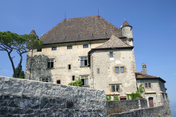 2008-05-08 Yvoire 020