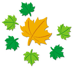 Maple leaf